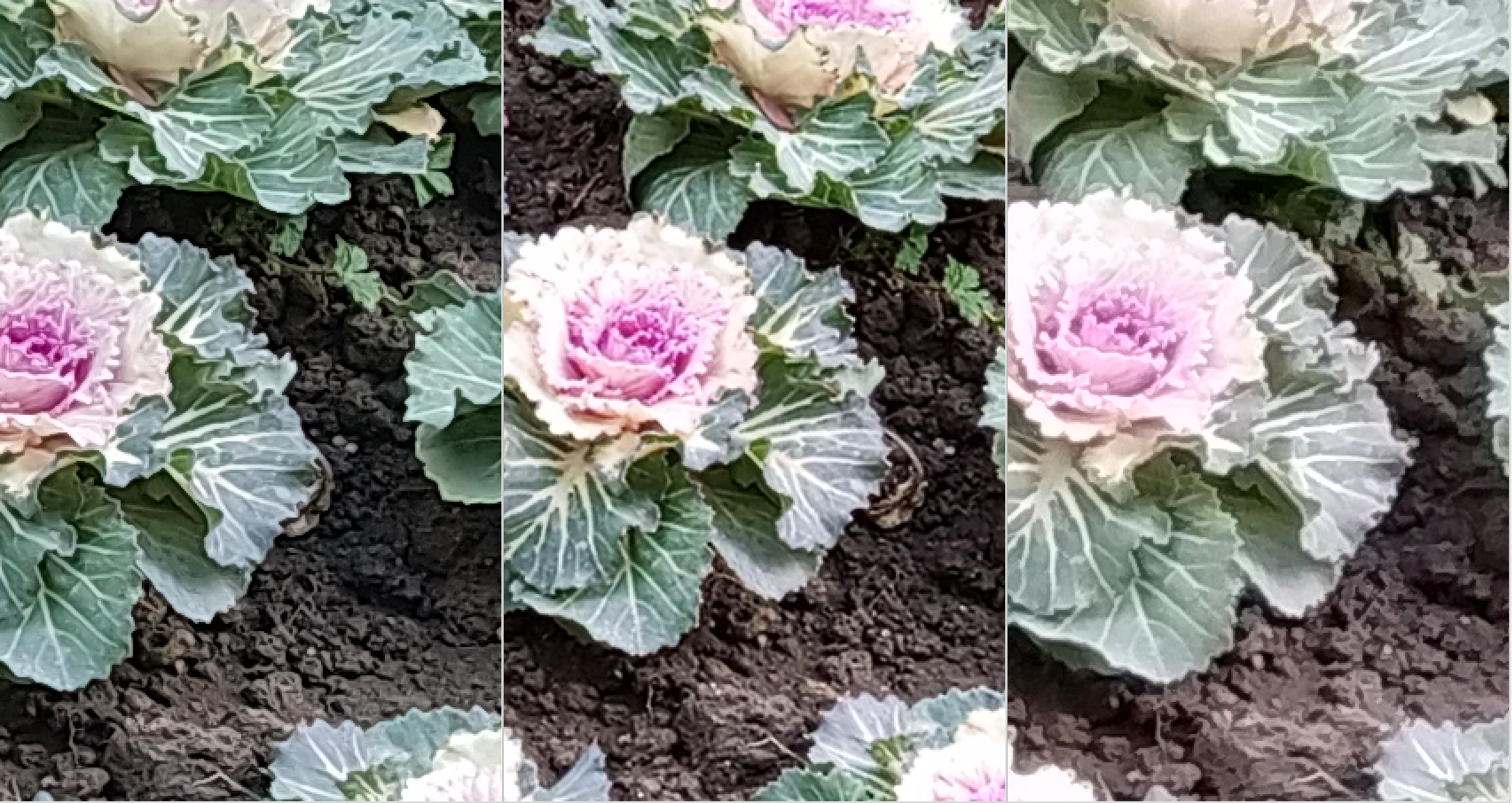 Starbo星宝(中国集团)官方网站